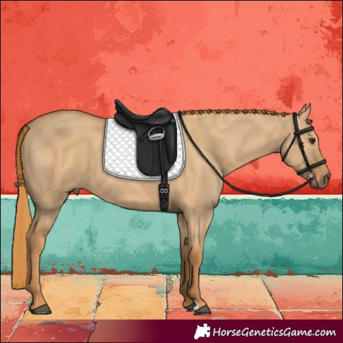 Horse Color:Red Dun