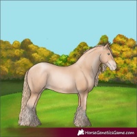 Horse Color:Gold Champagne Pearl Rabicano  and Gold Champagne Pearl Rabicano 
