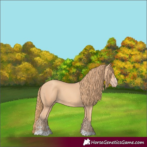 Horse Color:Gold Champagne
