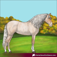 Horse Color:Silver Blue Roan Pearl Tobiano Frame