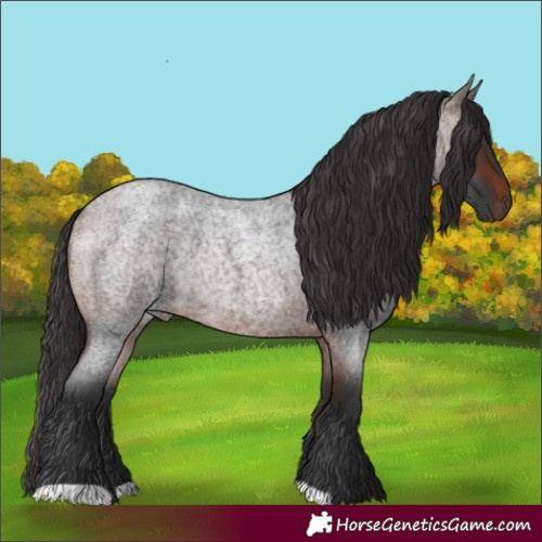 Horse Color:Brown Roan Rabicano 