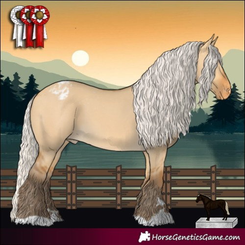 Horse Color:Silver Buckskin Dun Appaloosa