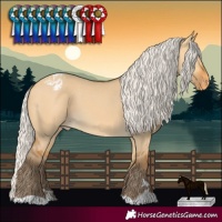 Horse Color:Silver Buckskin Dun Varnish