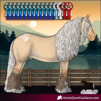 Horse Color:Silver Buckskin Dun Varnish 