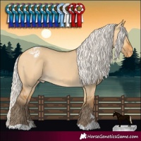 Horse Color:Silver Buckskin Dun Varnish