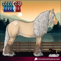 Horse Color:Silver Buckskin Dun Appaloosa