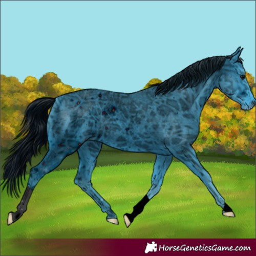 Horse Color:ERROR: UNKNOWN ANOMALY