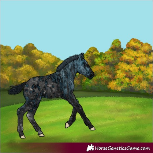 Horse Color:ERROR: UNKNOWN ANOMALY