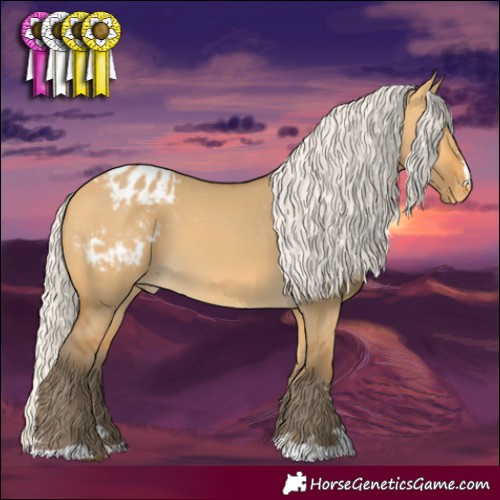 Horse Color:Silver Buckskin Dun Appaloosa 