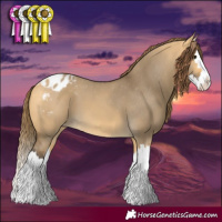 Horse Color:Buckskin Dun Splash Varnish