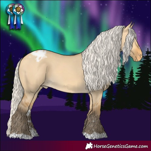Horse Color:Silver Buckskin Dun Appaloosa 