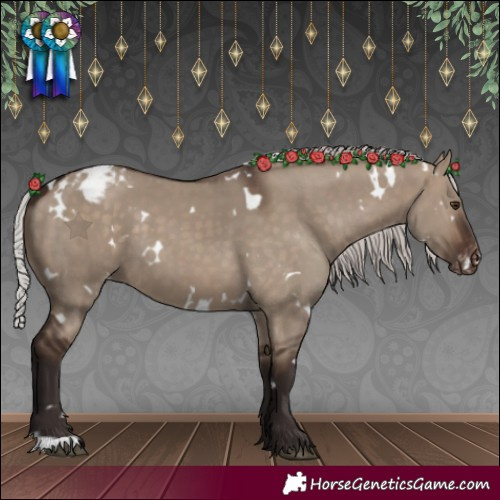 Horse Color:White Spotted Silver Brown Dun Appaloosa 