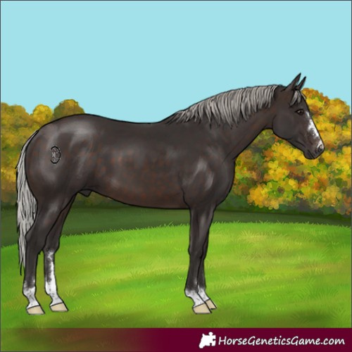 Horse Color:Silver Brown 