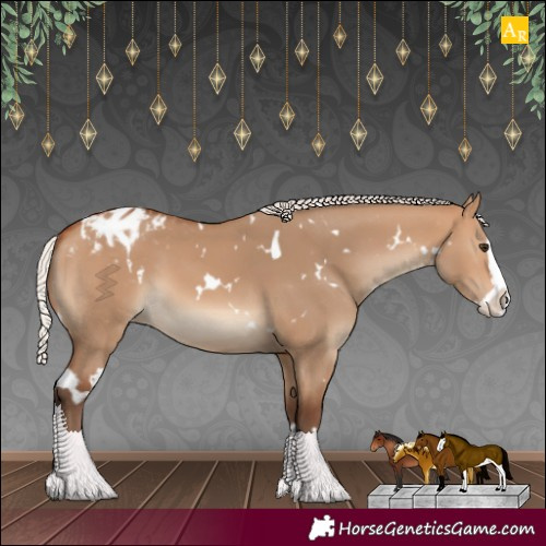 Horse Color:White Spotted Silver Bay Dun Splash Appaloosa 
