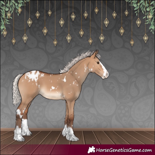Horse Color:White Spotted Silver Bay Dun Splash Appaloosa