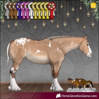 Horse Color:White Spotted Silver Bay Dun Splash Varnish 