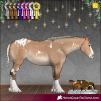 Horse Color:White Spotted Silver Bay Dun Splash Varnish 