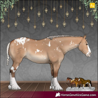 Horse Color:White Spotted Silver Bay Dun Splash Appaloosa