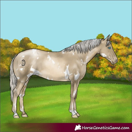 Horse Color:White Spotted Silver Smoky Black Pearl Rabicano 