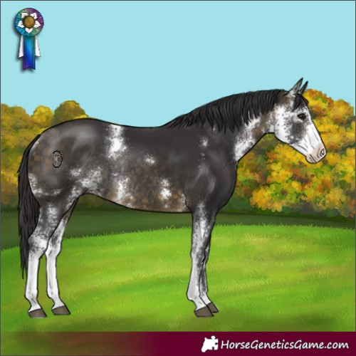 Horse Color:Buckskin Sabino Rabicano 