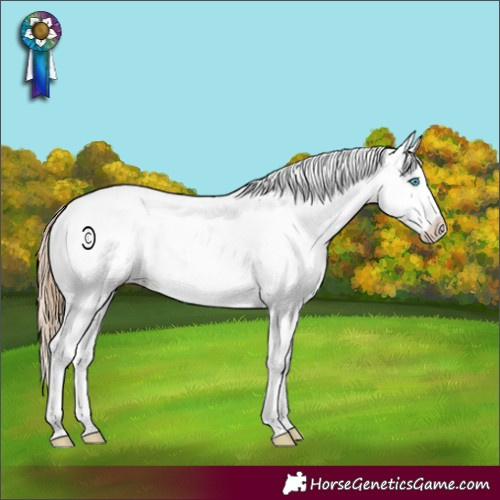 Horse Color:Buckskin Pearl Sabino Rabicano 