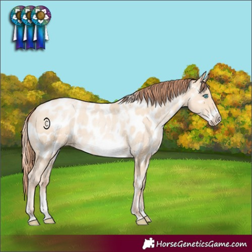 Horse Color:White Spotted Sable Cream Champagne Pearl Sabino Frame Appaloosa Rabicano 