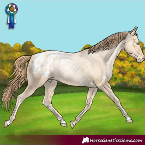 Horse Color:Buckskin Ice Pearl Blanket 