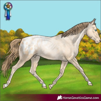 Horse Color:Buckskin Ice Pearl Blanket 