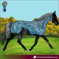 Horse Color:ERROR: UNKNOWN ANOMALY