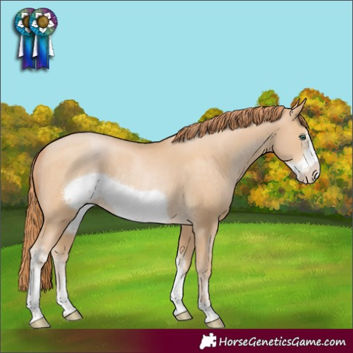Horse Color:Smoky Black Pearl Sabino Frame 