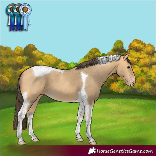 Horse Color:Amber Cream Champagne Tobiano