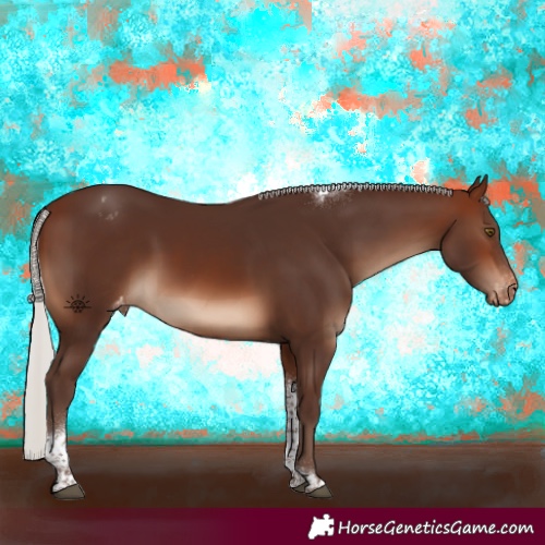 Horse Color:Silver Brown Tobiano Appaloosa Rabicano