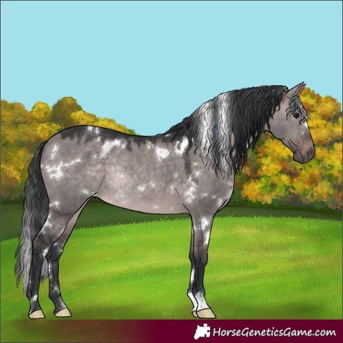 Horse Color:Platinum White Spotted Brown Dun Rabicano