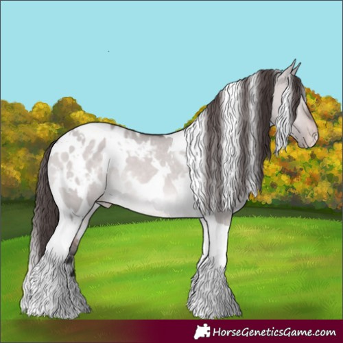 Horse Color:Platinum White Spotted Brown Dun Tobiano Appaloosa Rabicano