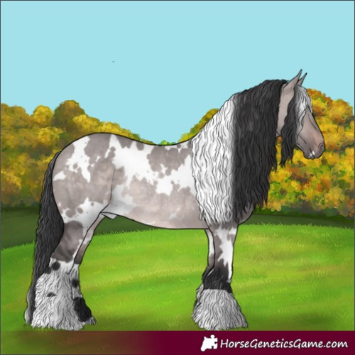 Horse Color:Platinum White Spotted Brown Dun Rabicano 