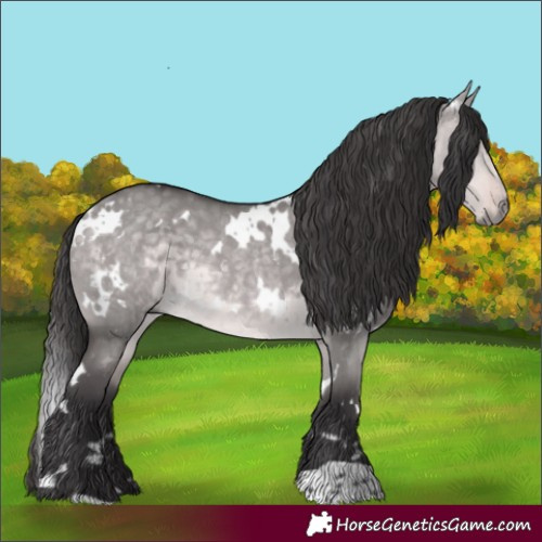Horse Color:Platinum White Spotted Buckskin Dun