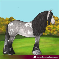 Horse Color:Platinum White Spotted Buckskin Dun 