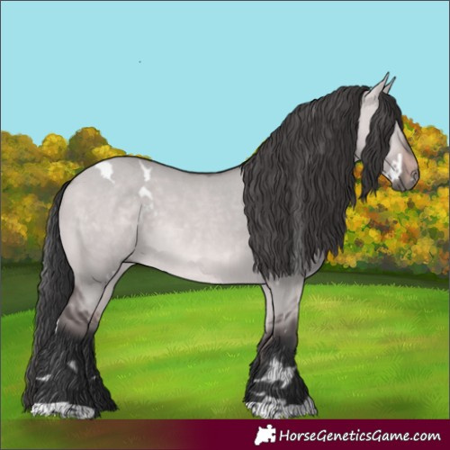 Horse Color:Platinum White Spotted Bay Dun Rabicano