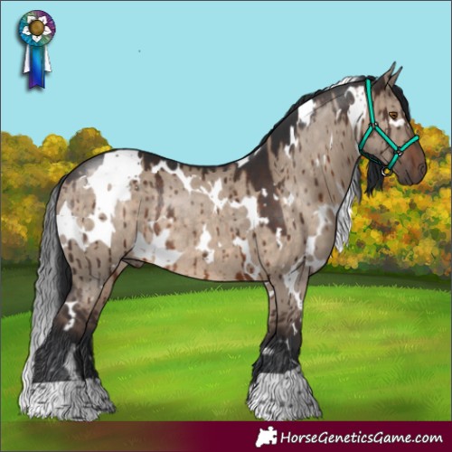 Horse Color:White Spotted Brown Dun Rabicano Brindle