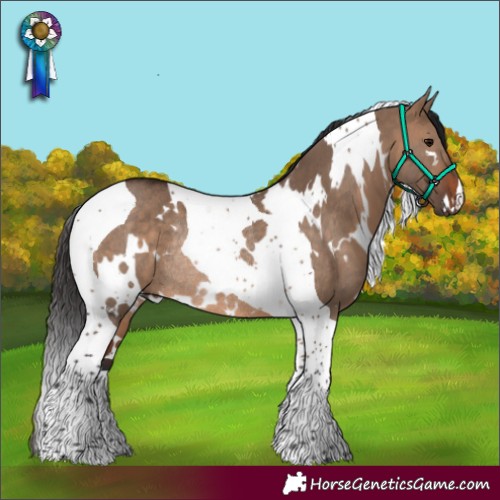 Horse Color:White Spotted Brown Dun Tobiano Rabicano 