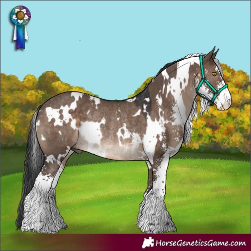 Horse Color:White Spotted Brown Dun Sabino Rabicano 