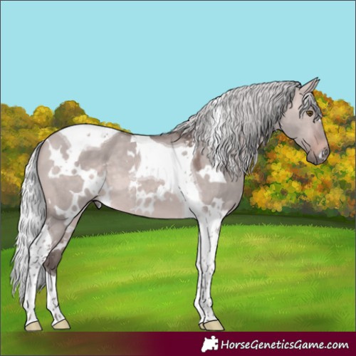 Horse Color:Platinum White Spotted Silver Brown Dun Tobiano 