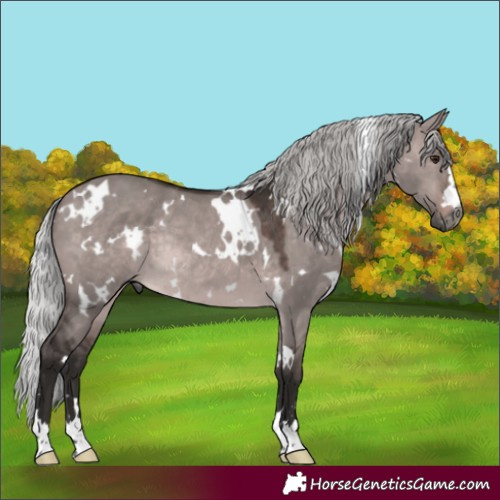 Horse Color:Gray Platinum White Spotted Silver Bay Dun Rabicano 