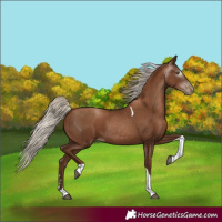 Horse Color:Gray Silver Black Pearl Tobiano 