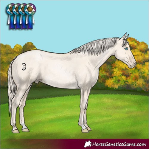 Horse Color:Gold Cream Champagne Pearl Dun Rabicano
