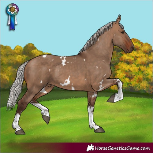 Horse Color:White Spotted Silver Brown Dun 