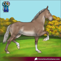 Horse Color:Silver Grullo 