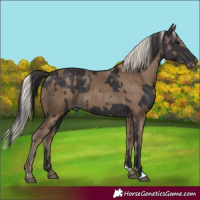 Horse Color:Smoky Black and Silver Smoky Black
