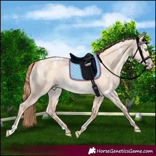 Horse Color:White Spotted Gold Champagne Dun 