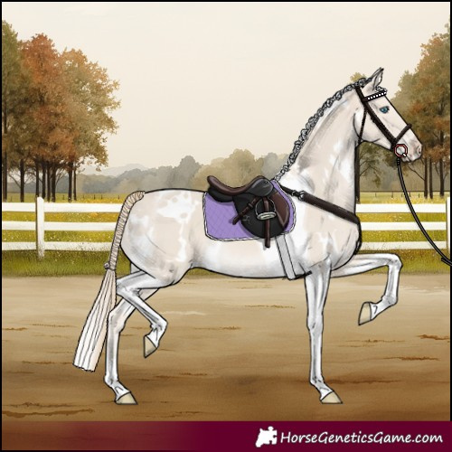 Horse Color:White Spotted Smoky Creme Tobiano 
